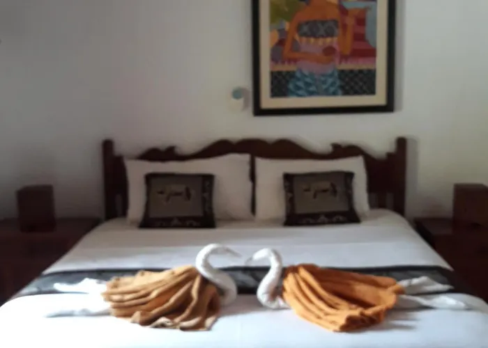 Frannies